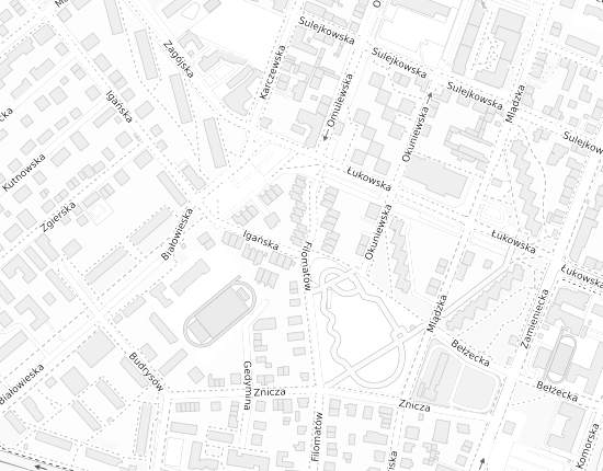 Mapa z adresem organizacji