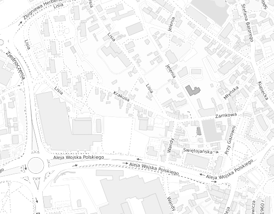 Mapa z adresem organizacji