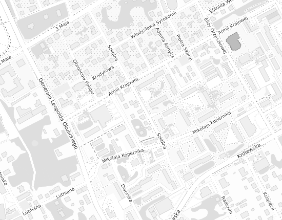 Mapa z adresem organizacji
