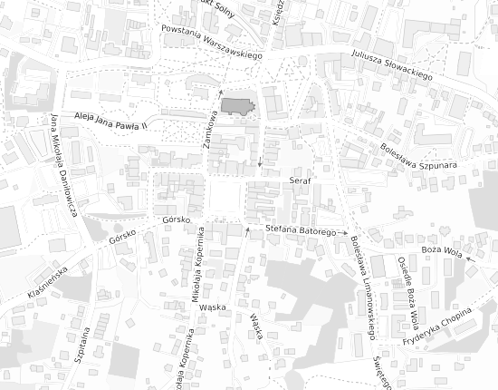 Mapa z adresem organizacji