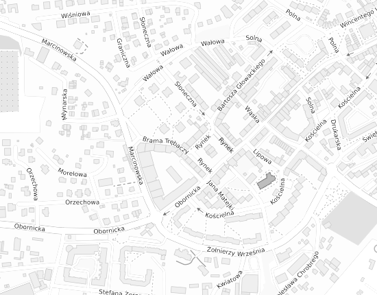 Mapa z adresem organizacji