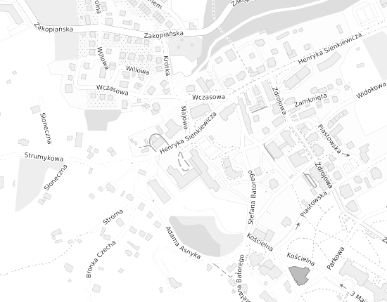 Mapa z adresem organizacji