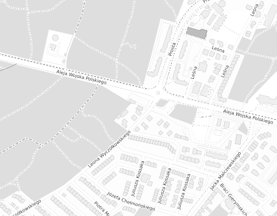 Mapa z adresem organizacji