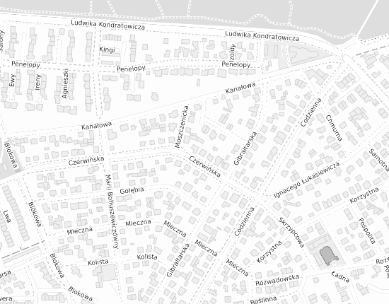 Mapa z adresem organizacji