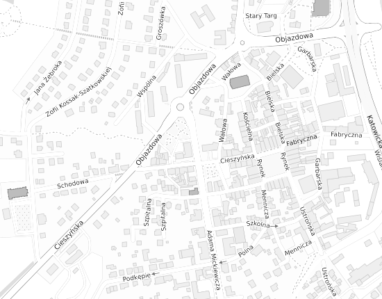 Mapa z adresem organizacji