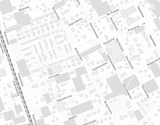 Mapa z adresem organizacji