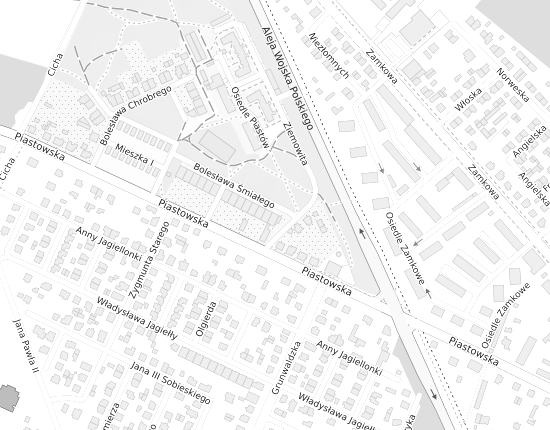 Mapa z adresem organizacji