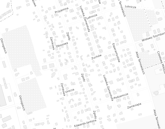 Mapa z adresem organizacji