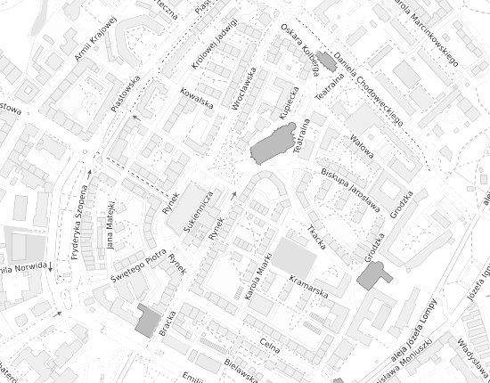 Mapa z adresem organizacji
