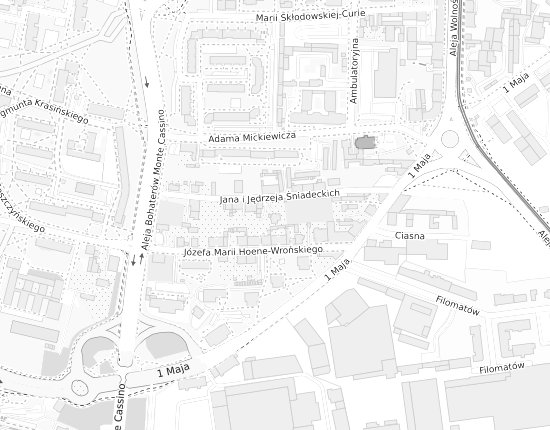 Mapa z adresem organizacji