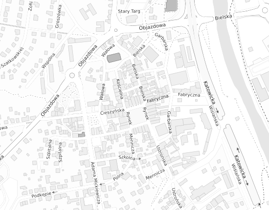 Mapa z adresem organizacji