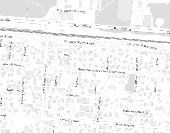 Mapa z adresem organizacji