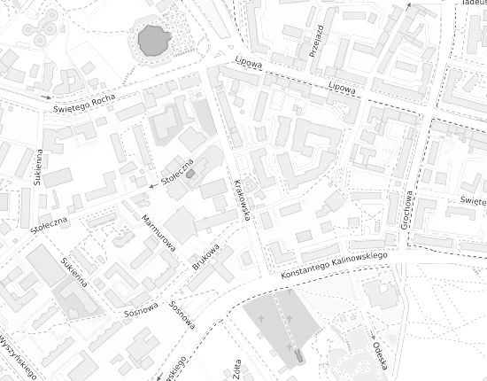 Mapa z adresem organizacji