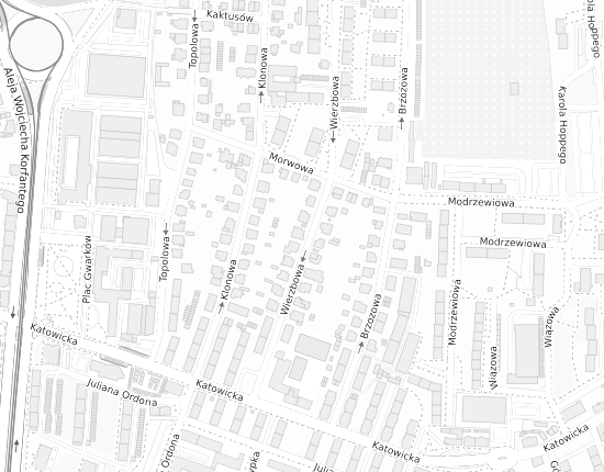 Mapa z adresem organizacji