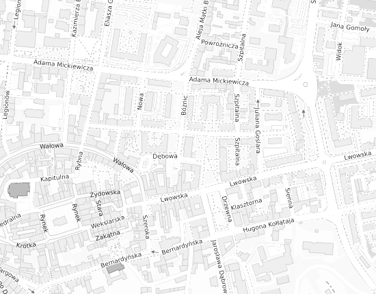 Mapa z adresem organizacji