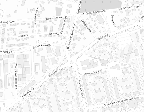 Mapa z adresem organizacji