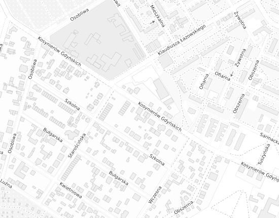 Mapa z adresem organizacji