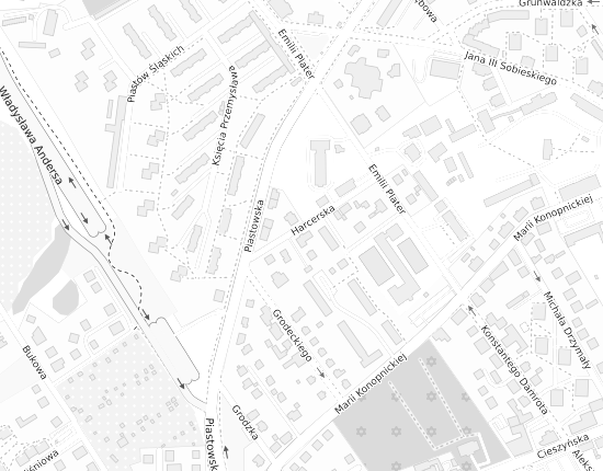 Mapa z adresem organizacji