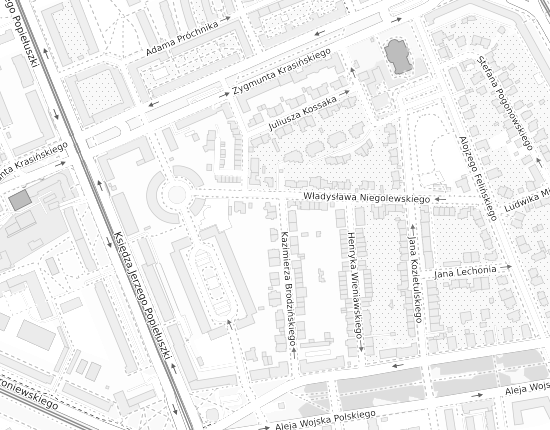 Mapa z adresem organizacji