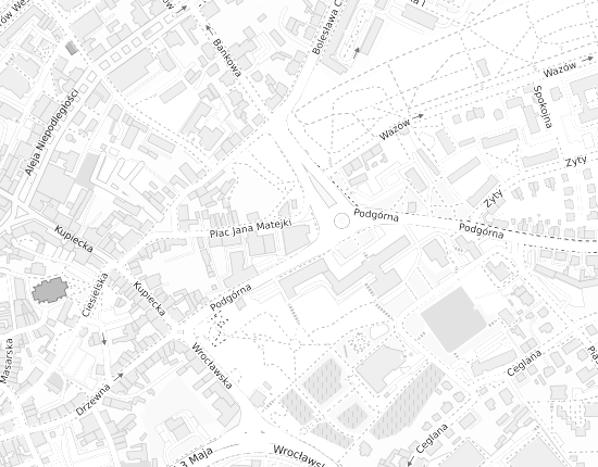 Mapa z adresem organizacji