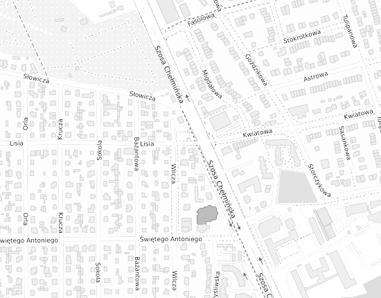 Mapa z adresem organizacji