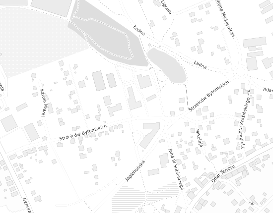 Mapa z adresem organizacji