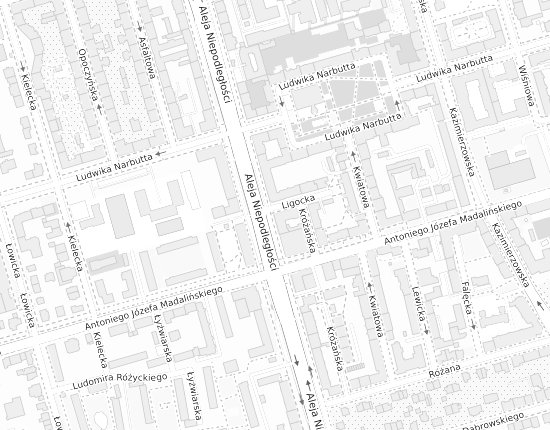 Mapa z adresem organizacji