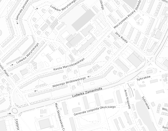 Mapa z adresem organizacji