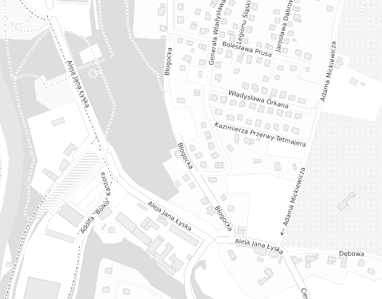 Mapa z adresem organizacji