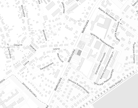 Mapa z adresem organizacji