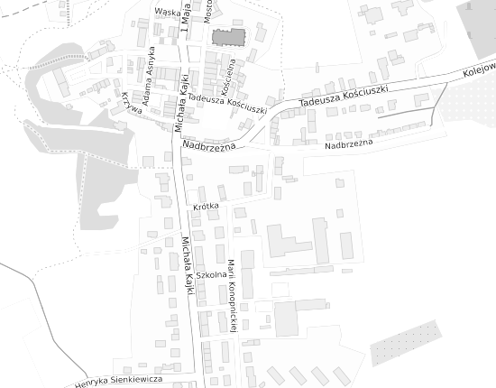 Mapa z adresem organizacji