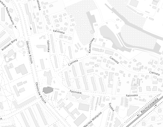 Mapa z adresem organizacji