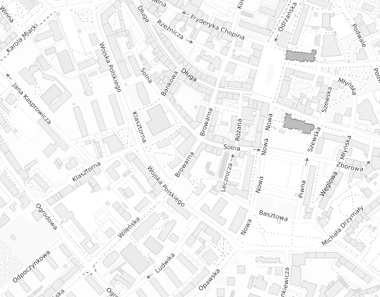 Mapa z adresem organizacji