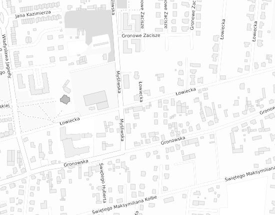 Mapa z adresem organizacji