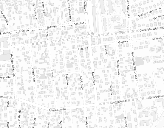 Mapa z adresem organizacji