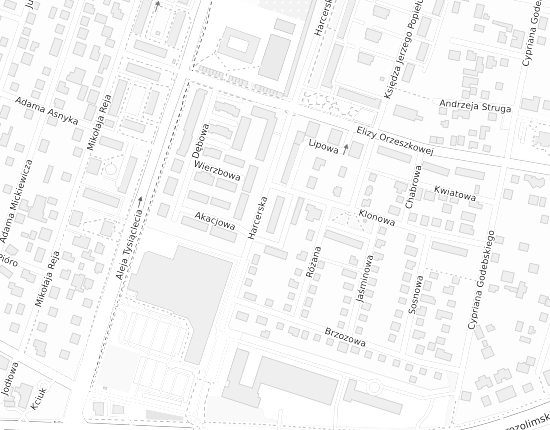 Mapa z adresem organizacji