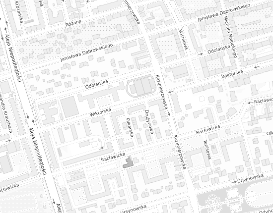 Mapa z adresem organizacji