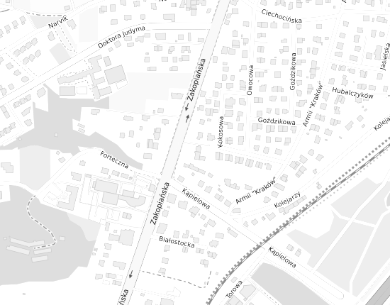 Mapa z adresem organizacji