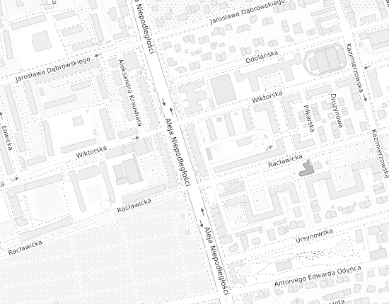 Mapa z adresem organizacji