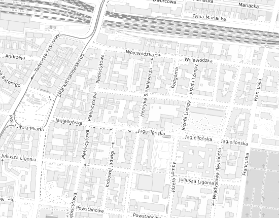 Mapa z adresem organizacji