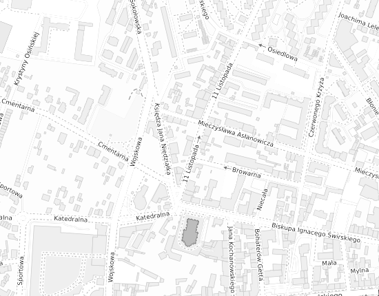 Mapa z adresem organizacji