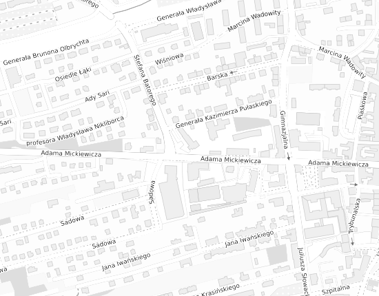 Mapa z adresem organizacji