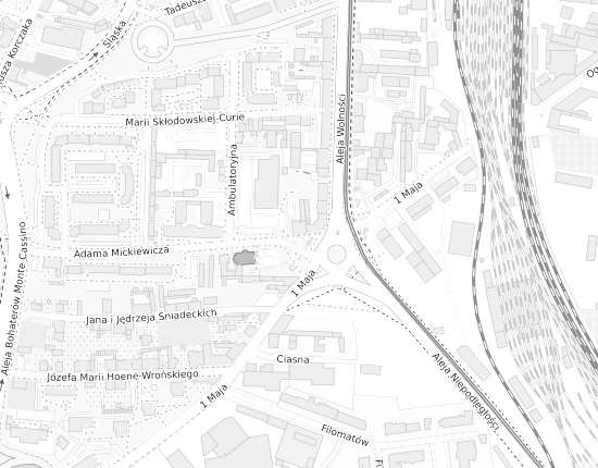 Mapa z adresem organizacji