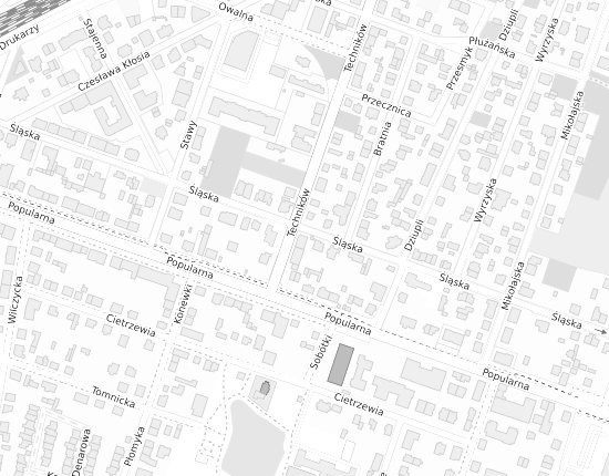 Mapa z adresem organizacji