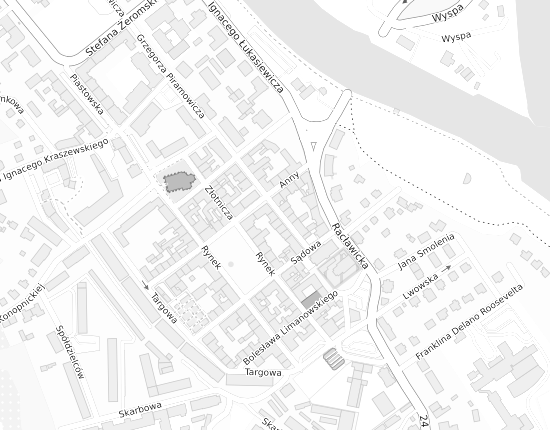 Mapa z adresem organizacji