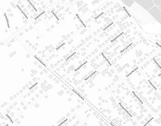 Mapa z adresem organizacji