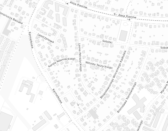 Mapa z adresem organizacji