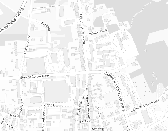 Mapa z adresem organizacji