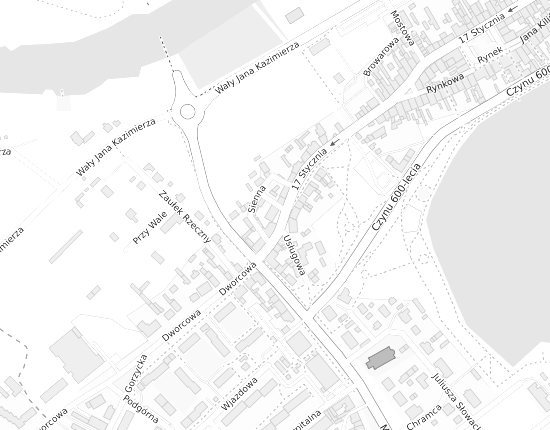 Mapa z adresem organizacji