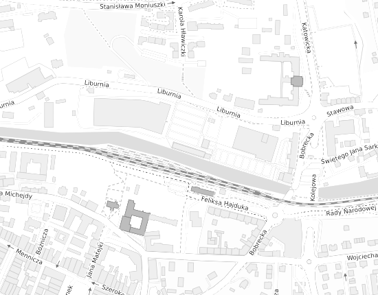 Mapa z adresem organizacji